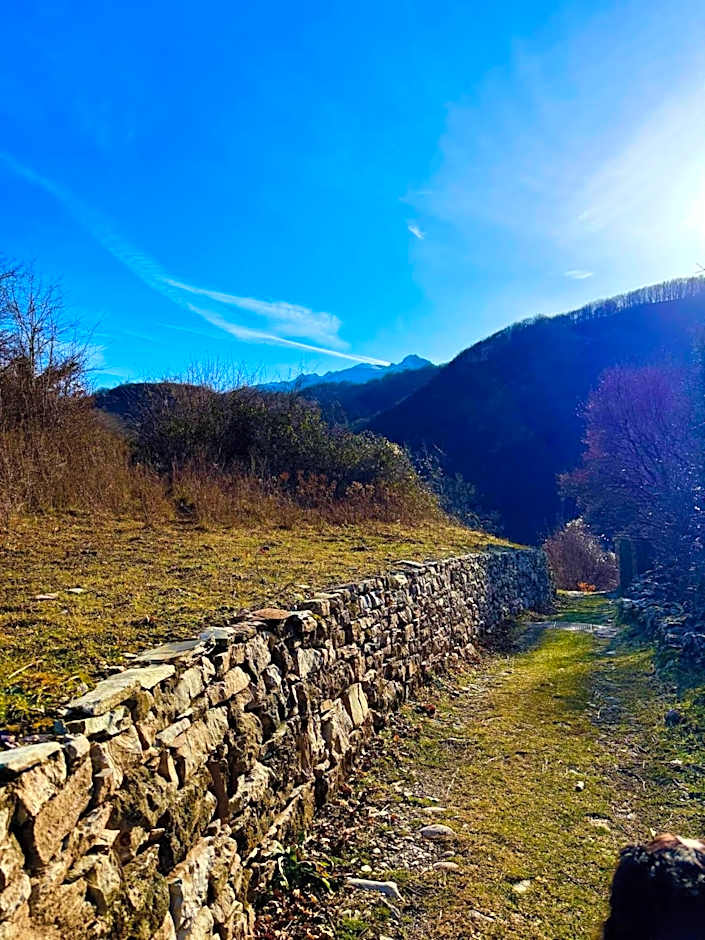 Viandanti, Artisti e Sognatori