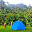 Green Forest Tangkahan