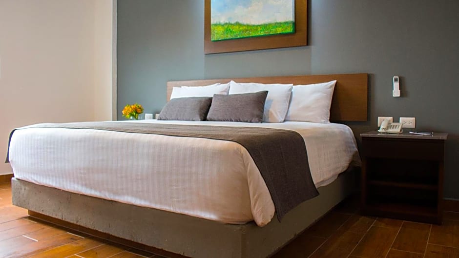 Eco Hotel Guadalajara Expo