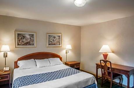 1 King Bed Nonsmoking