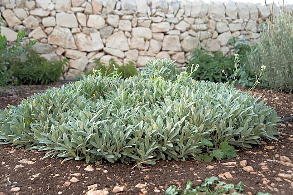 La Dimora di Spartivento; BW Signature Collection