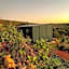 Nyosi Wildlife Reserve