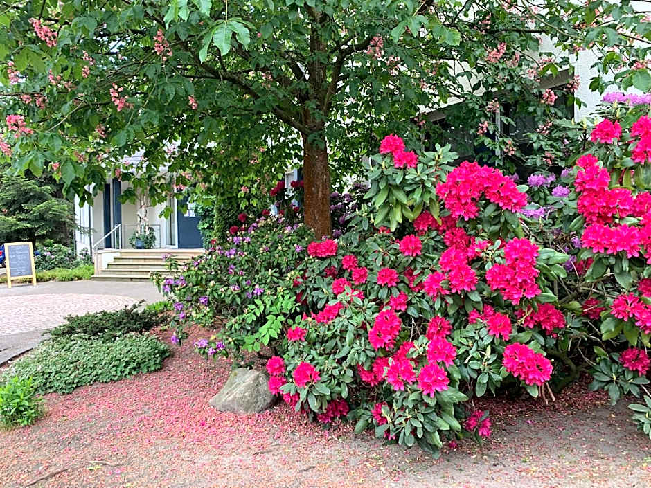 Hotel Luther Birke Wittenberg