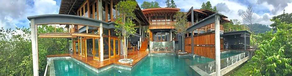 The Shorea