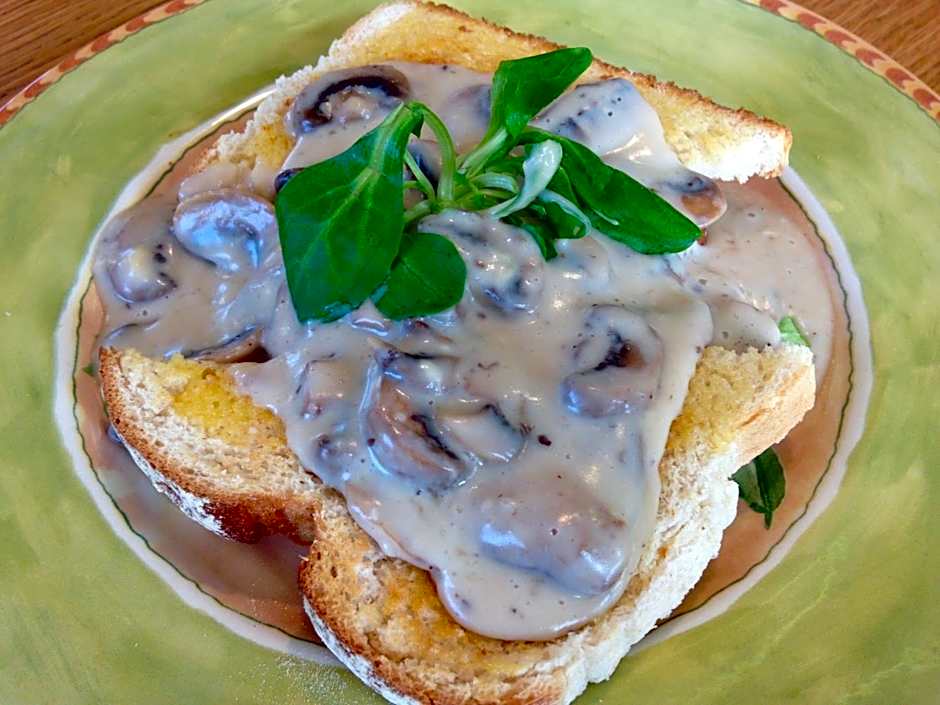 Priors Oak - A Cosy Studio with Countryside Views in Dorset