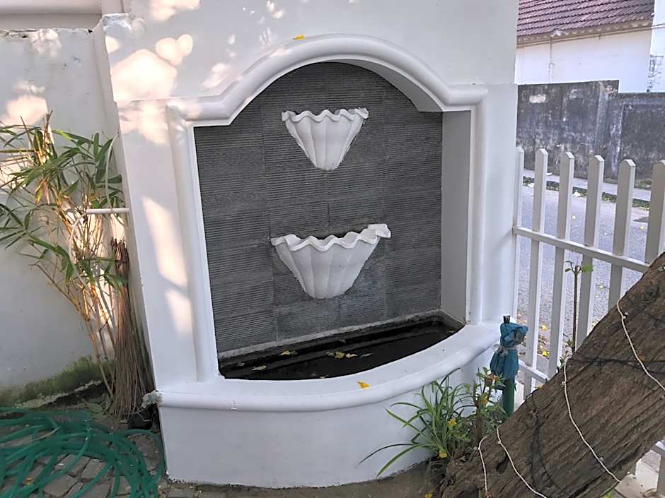 Daffodils Spice Court