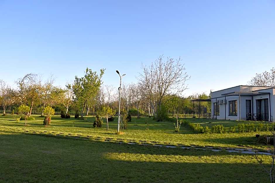 Luxury apartment Vodolei