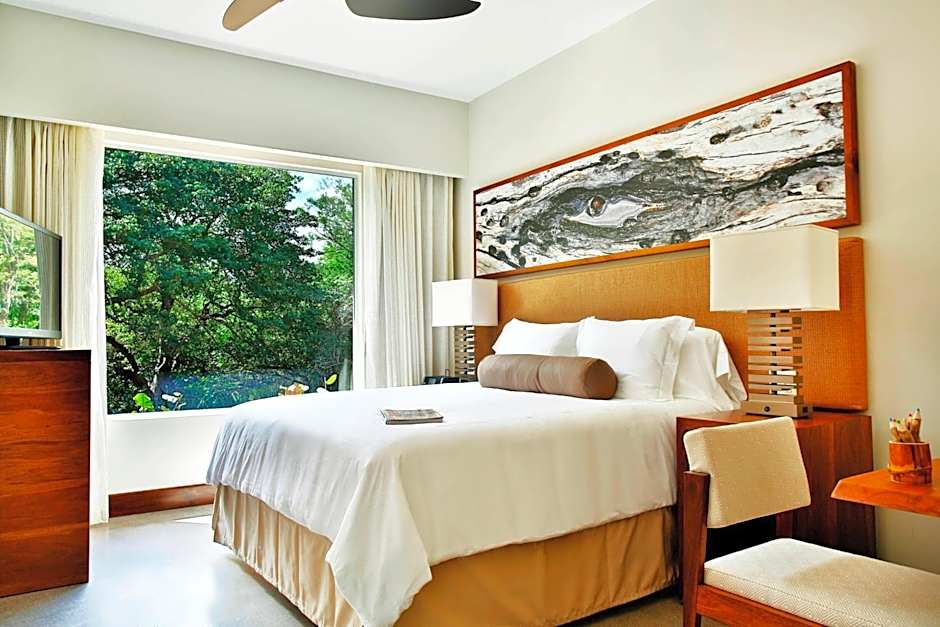 Photo 1 of 3 of 1 King Bed Suite, Resort View