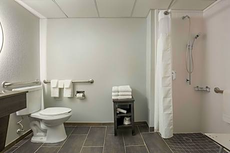 King Room with Roll-In Shower - Mobility Access/Hearing Accessible