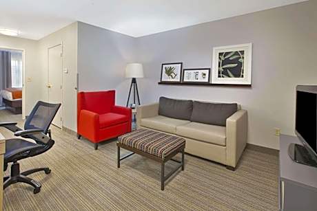 One-Bedroom King Suite with Sofa Bed
