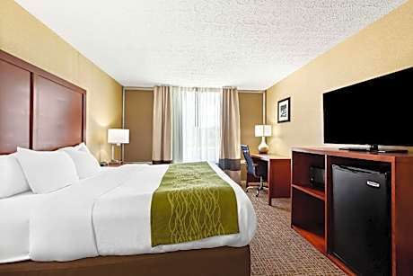 King Room - Non-Smoking