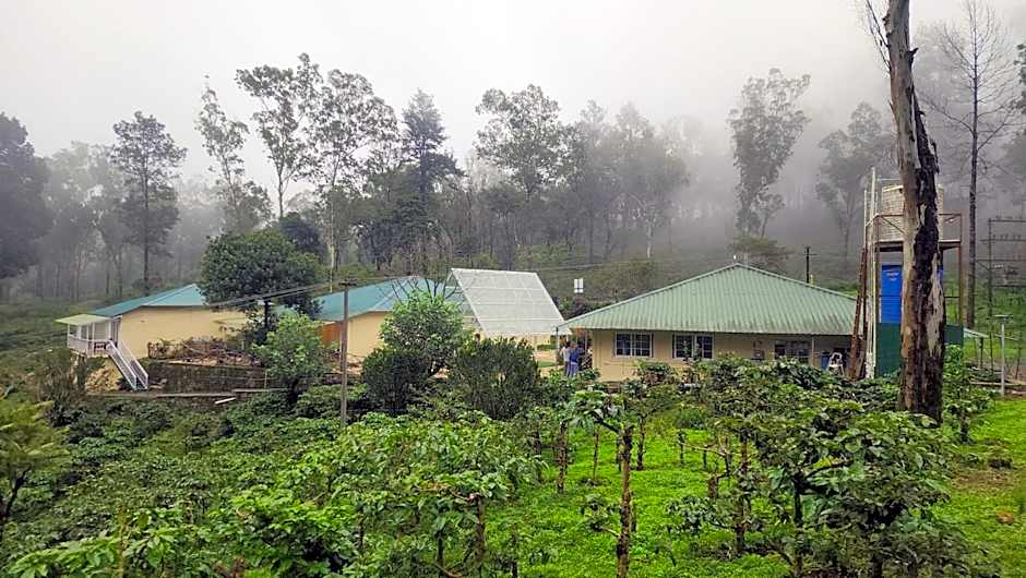 Ibex Resorts, Valparai Mistly