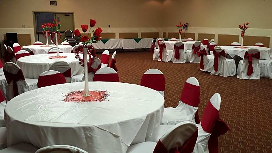 Romana Hotel - Houston Southwest