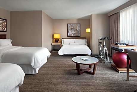 Guest room, 2 Double