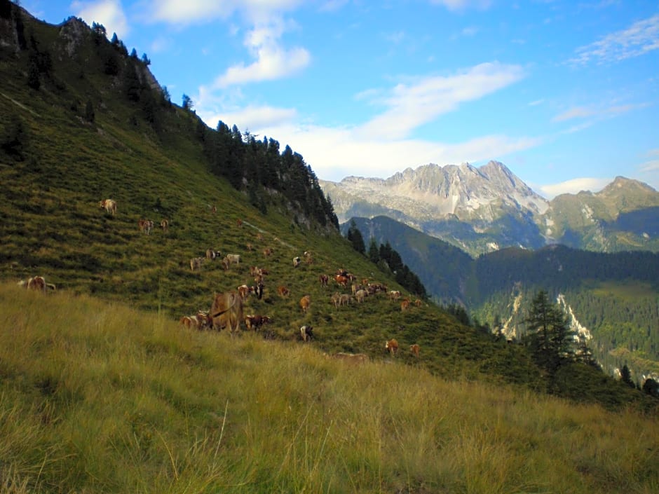 Badererhof Christine Wechselberger