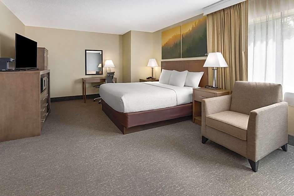 Photo 1 of 9 of Deluxe 1 King Bed