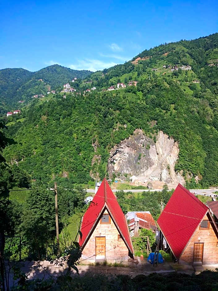 Begi Apart Bungalows Hotel - Çamlıhemşin