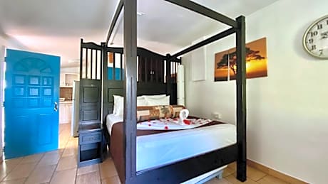 Deluxe One-Bedroom Apartment