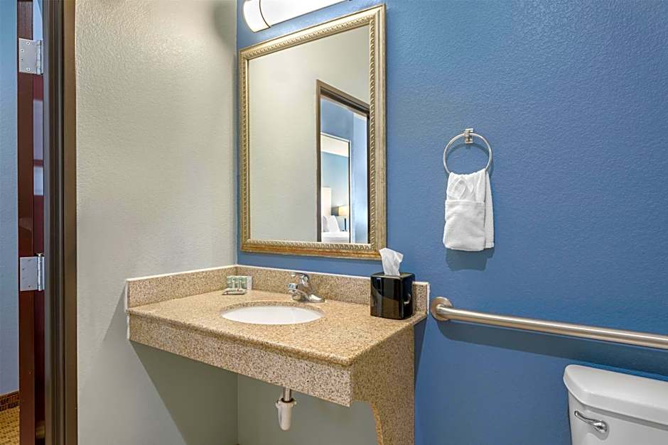 Best Western South Plains Inn & Suites