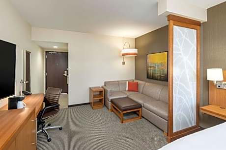 King Suite with Sofa Bed and Roll-In Shower - Disability Access