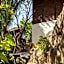 Casa Selva Sayulita