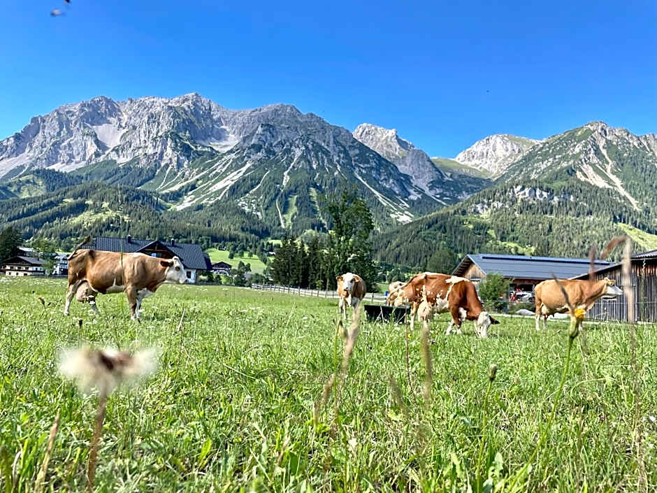 Pension Möslehnerhof