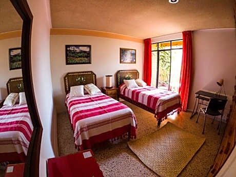 Single Room with Terrace