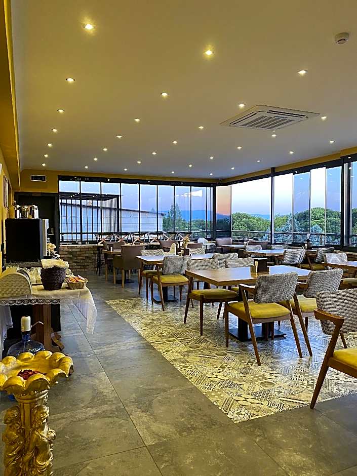 ROY OTEL AKCAY