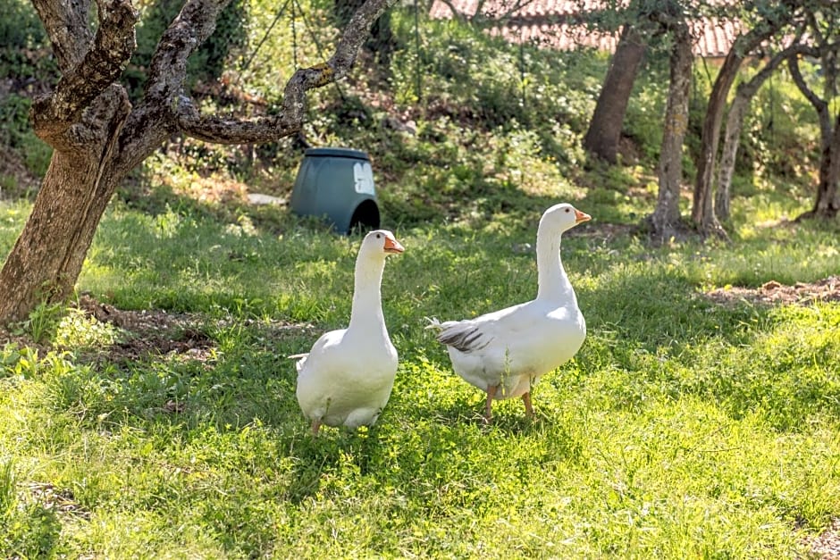 L'Agrifoglio di Assisi Residenza di Campagna