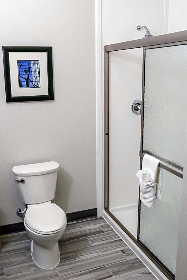 Holiday Inn Hotel & Suites Denver Tech Center-Centennial By IHG