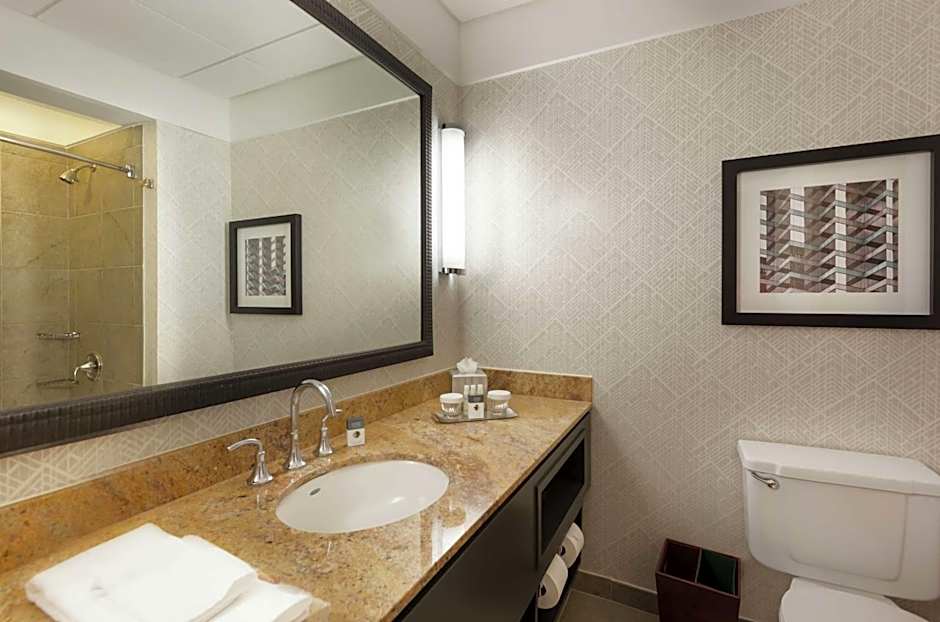 DoubleTree by Hilton Hotel & Suites Houston by the Galleria