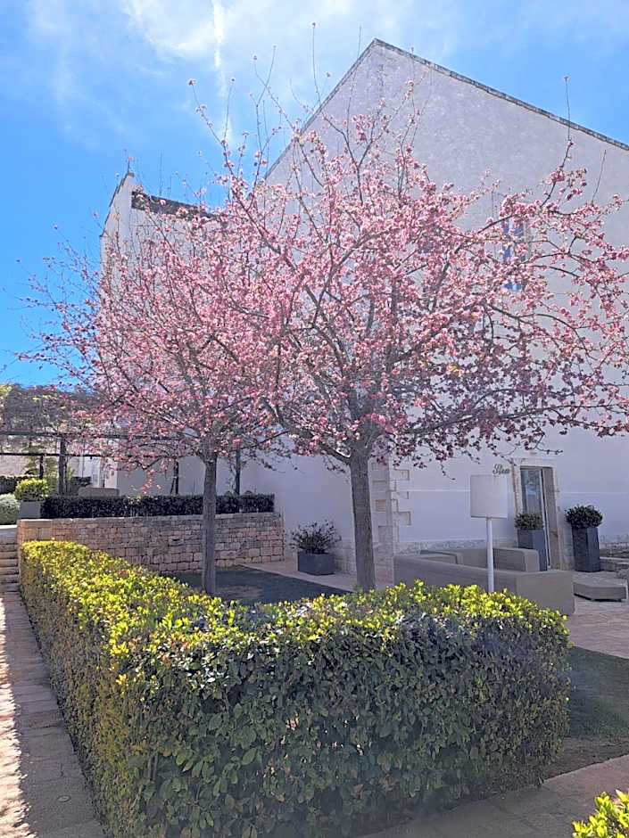 Relais Il Santissimo