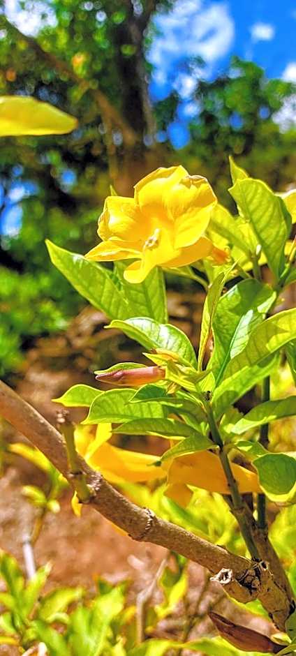 Rancho Acácia São Roque