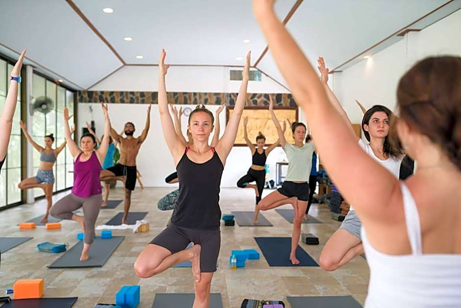 Wonderland Healing Center - All Inclusive