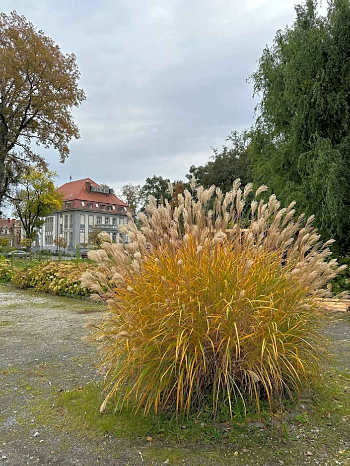 Hotel Willa Starosty