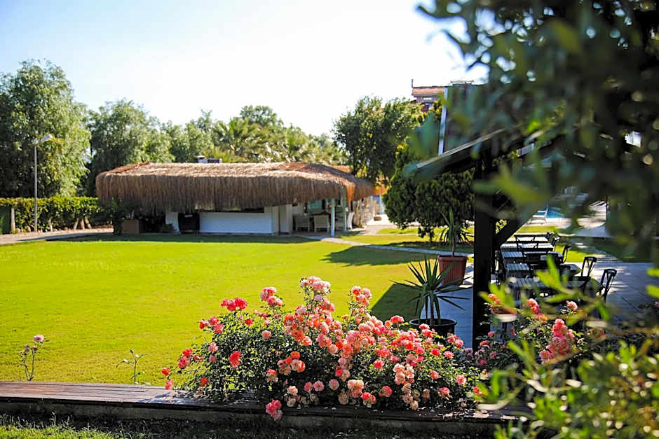 Enki Suess Alaçatı