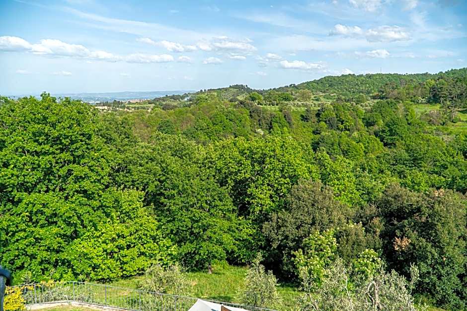 Piccozzo agritour