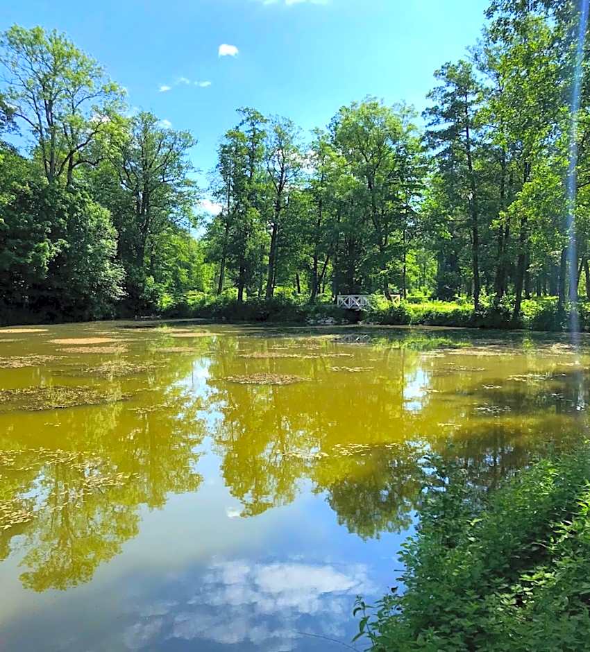 Üksik Rüütel Hotel