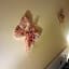 A1 Girasole B&B