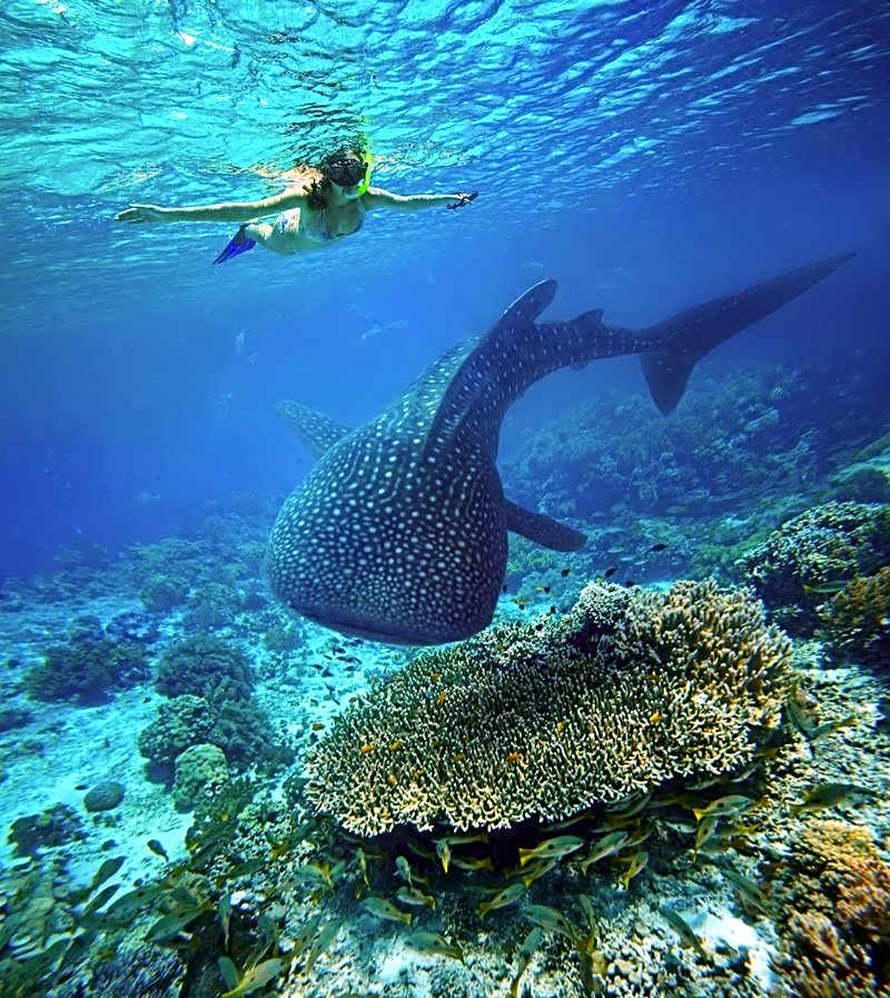Ningaloo Lodge Exmouth
