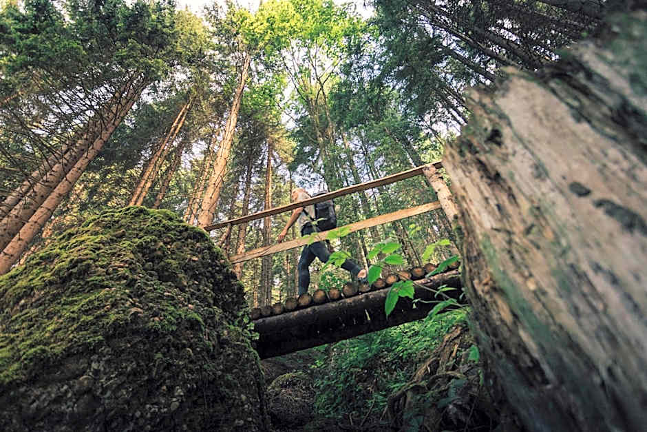 Torghele's Wald & Fluh