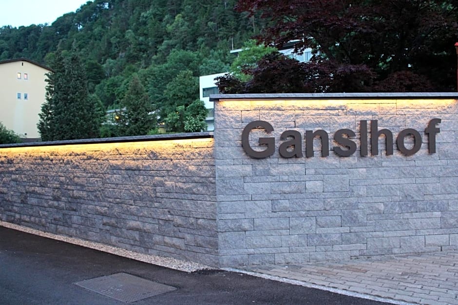 Hotel Ganslhof