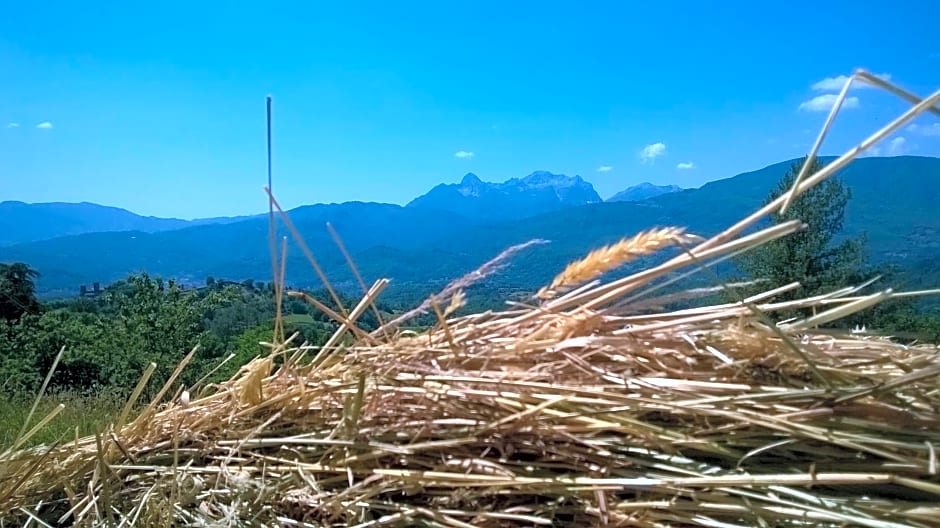 B&B Il Casale delle Pianacce