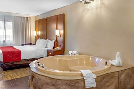 1 King Bed, Executive Lounge, Nonsmoking