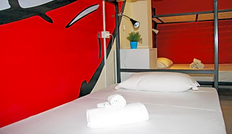 Single Bed in Female Dormitory Room