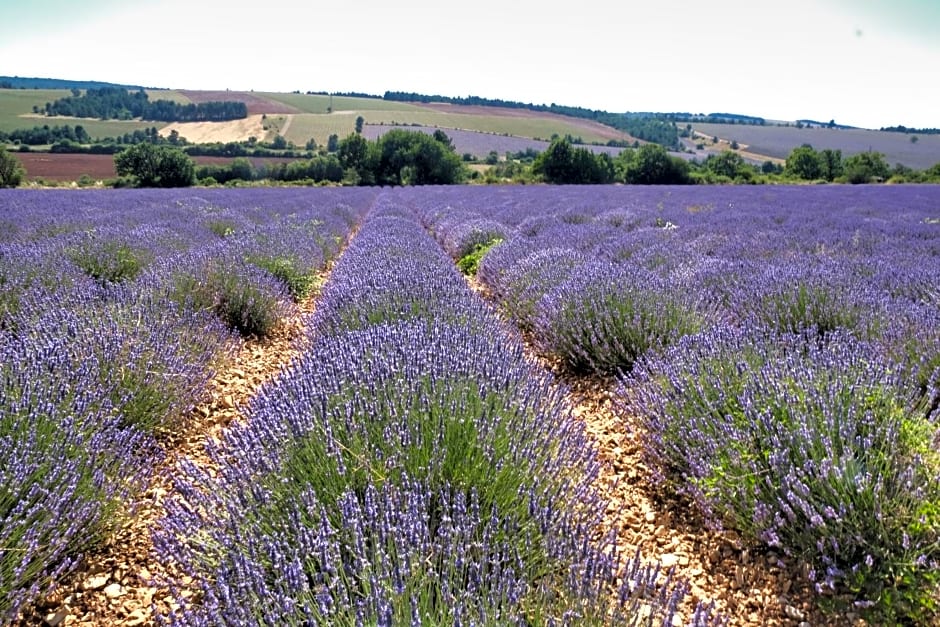 La Bastide au Ventoux