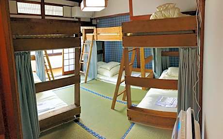 Bunk Bed in Female Dormitory Room