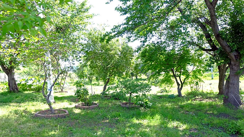 Hoshino Oka in Owani