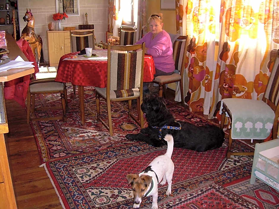 Wohlfühloase für Mensch und Hund