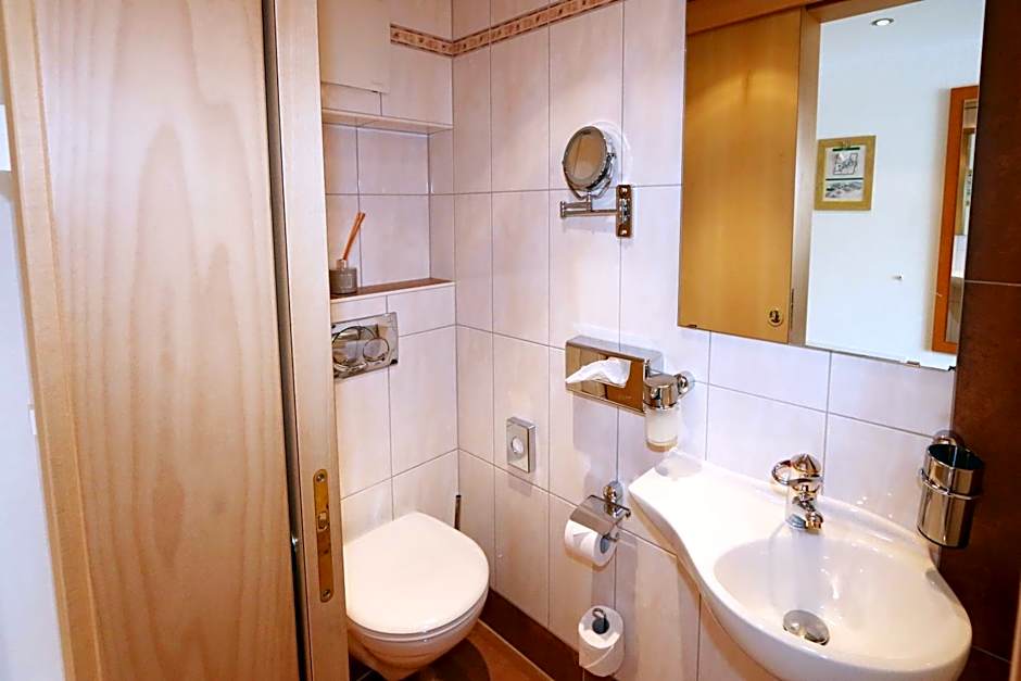 Amber Ski-in/out Hotel & Spa